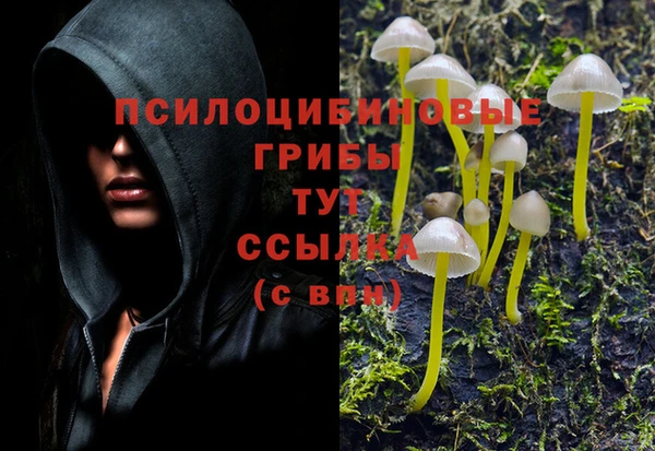 экстази Арсеньев